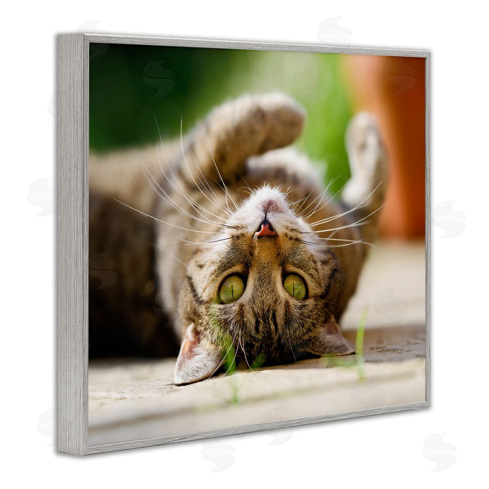 Jonathan Casey Upside Down Cat Portrait Gray Framed Giclee Wall Art Print