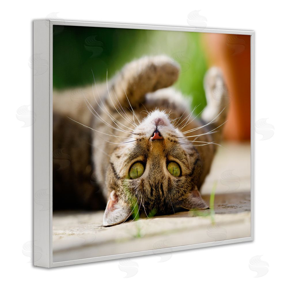 Jonathan Casey Upside Down Cat Portrait White Framed Giclee Wall Art Print