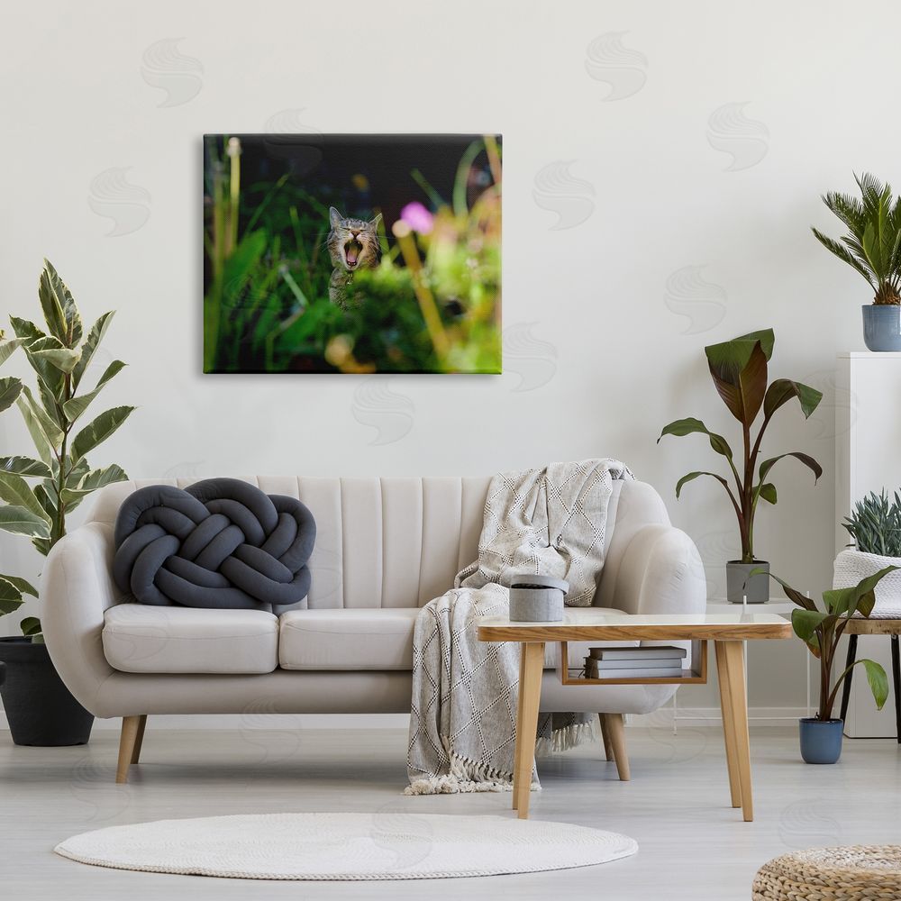 Jonathan Casey Yawning Cat in Grass Canvas Wall Art Print in Room