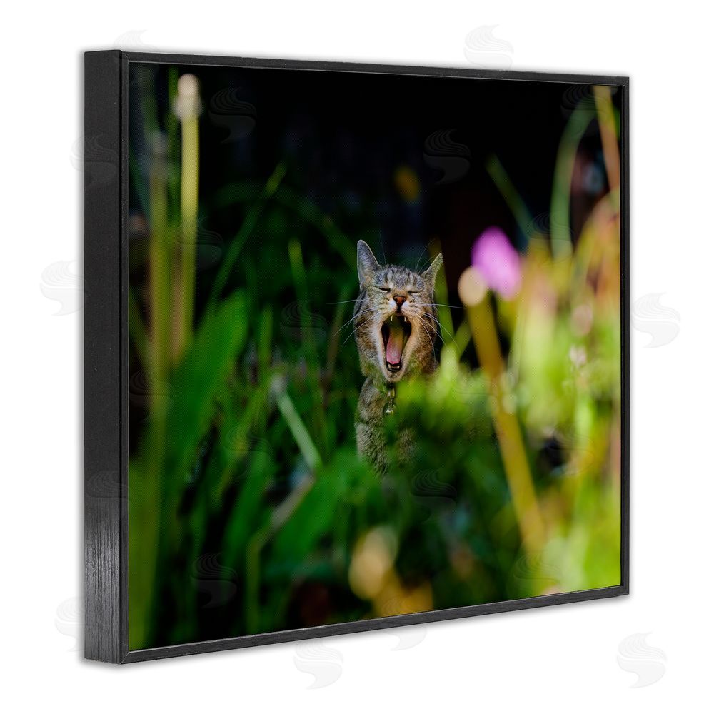 Jonathan Casey Yawning Cat in Grass Black Framed Giclee Wall Art Print