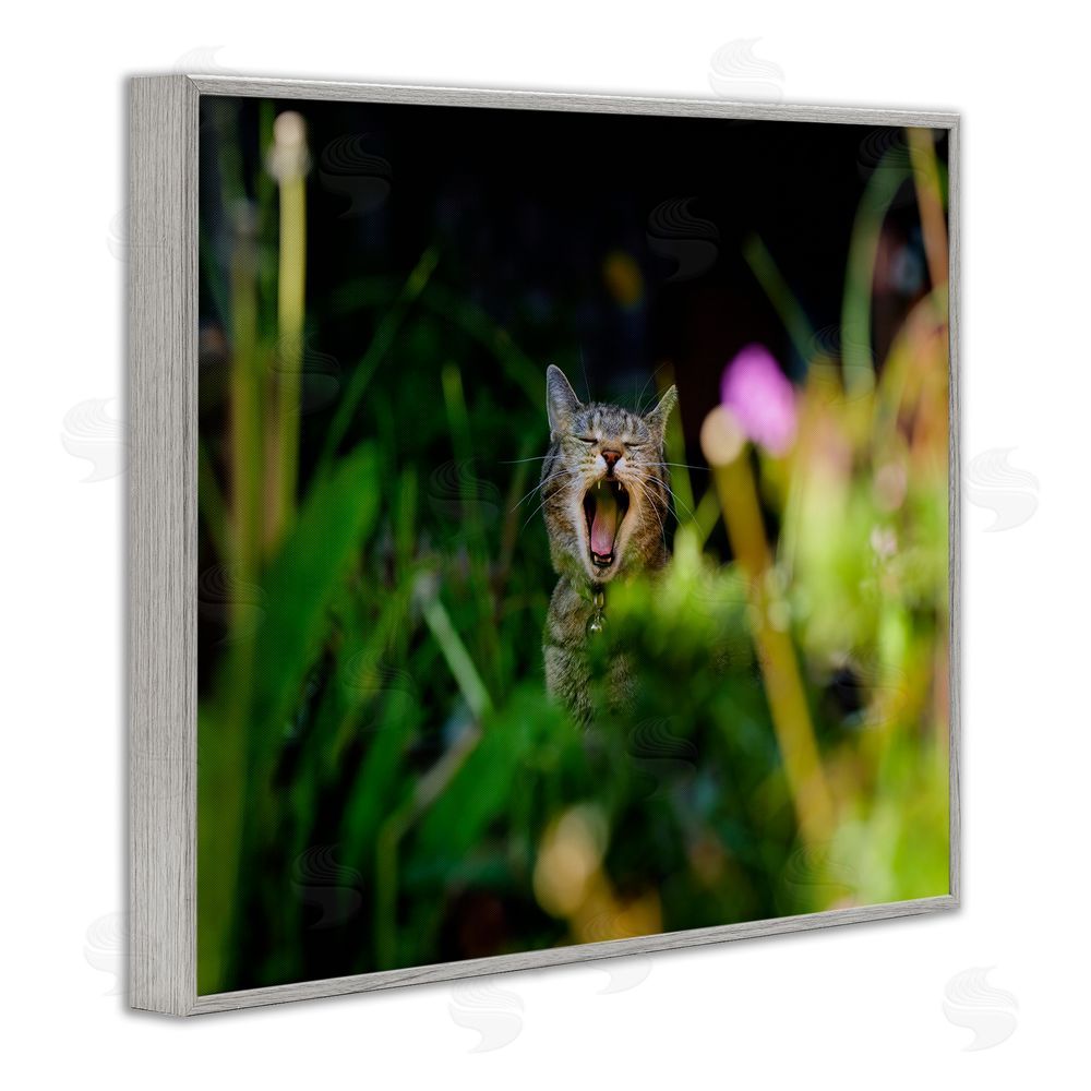Jonathan Casey Yawning Cat in Grass Gray Framed Giclee Wall Art Print