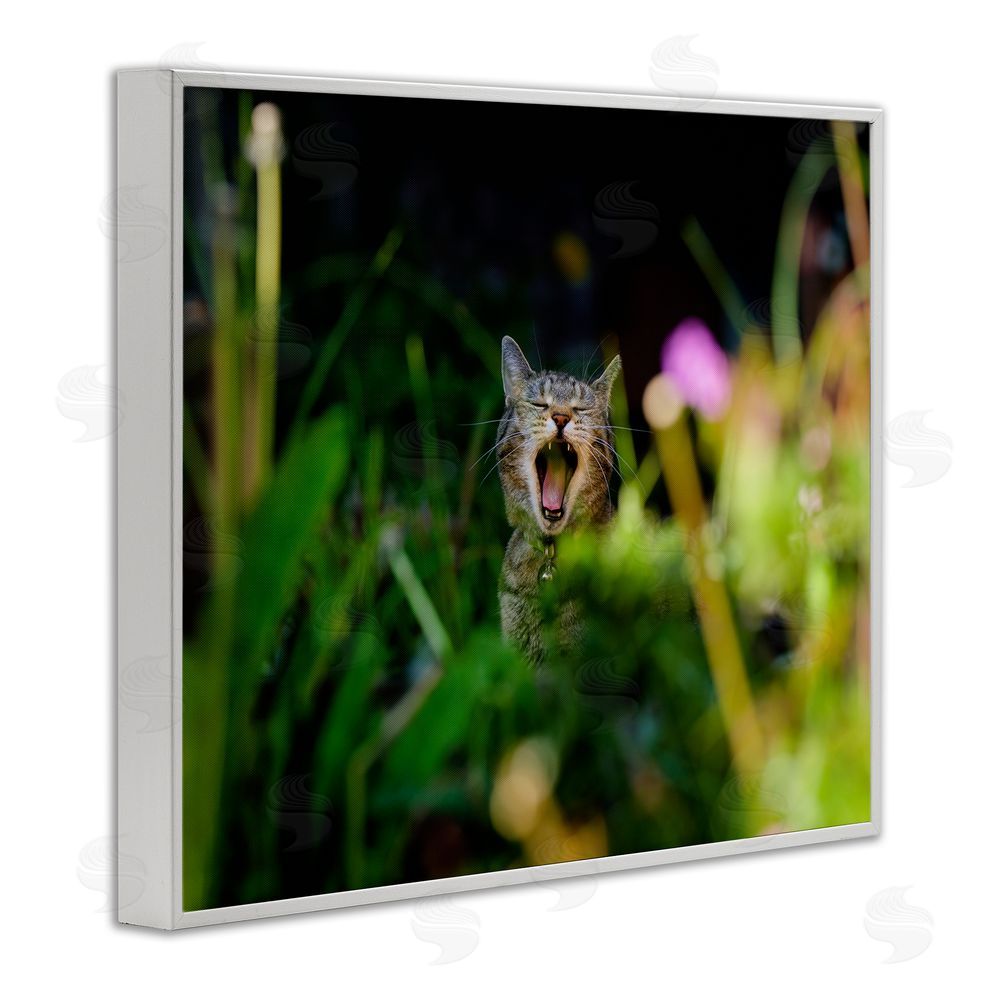 Jonathan Casey Yawning Cat in Grass White Framed Giclee Wall Art Print