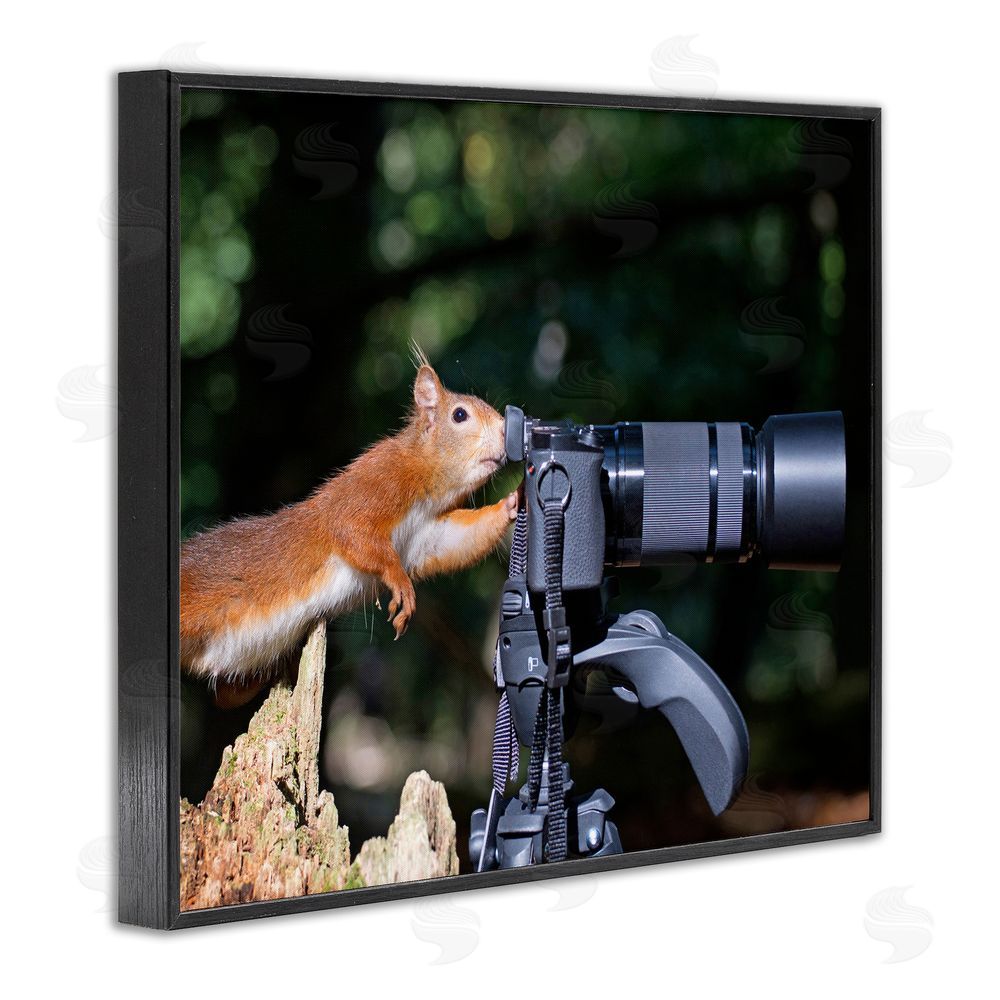 Julie Hunt Funny Squirrel Photographer Black Framed Giclee Wall Art Print