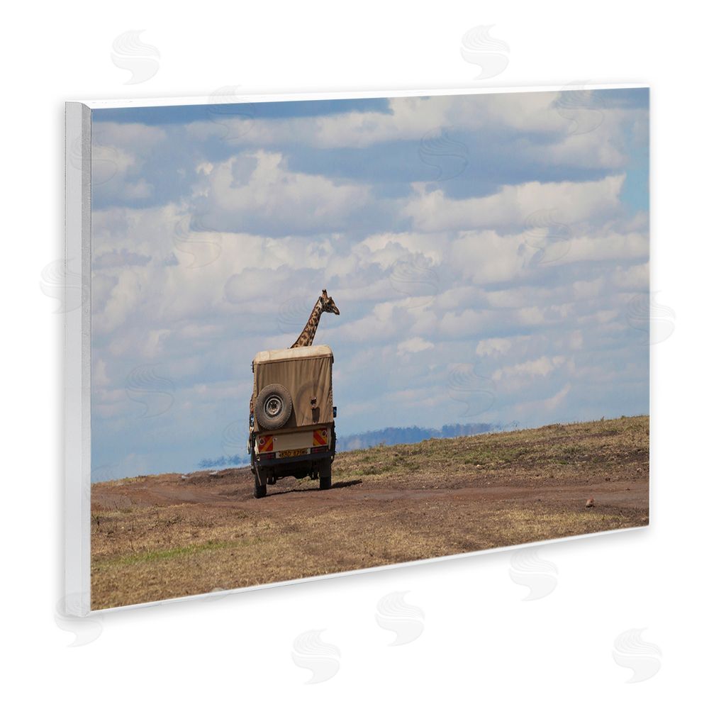 Marilyn Parver Giraffe in Safari Vehicle Wall Plaque Art Print