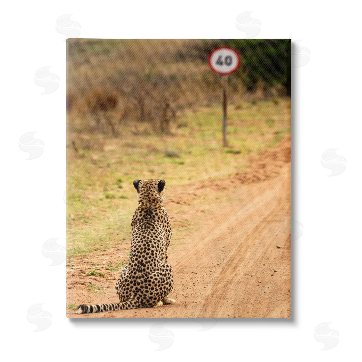 Vaughan Jessnitz Speedy Cheetah on Road Stretched Canvas Wall Art Print