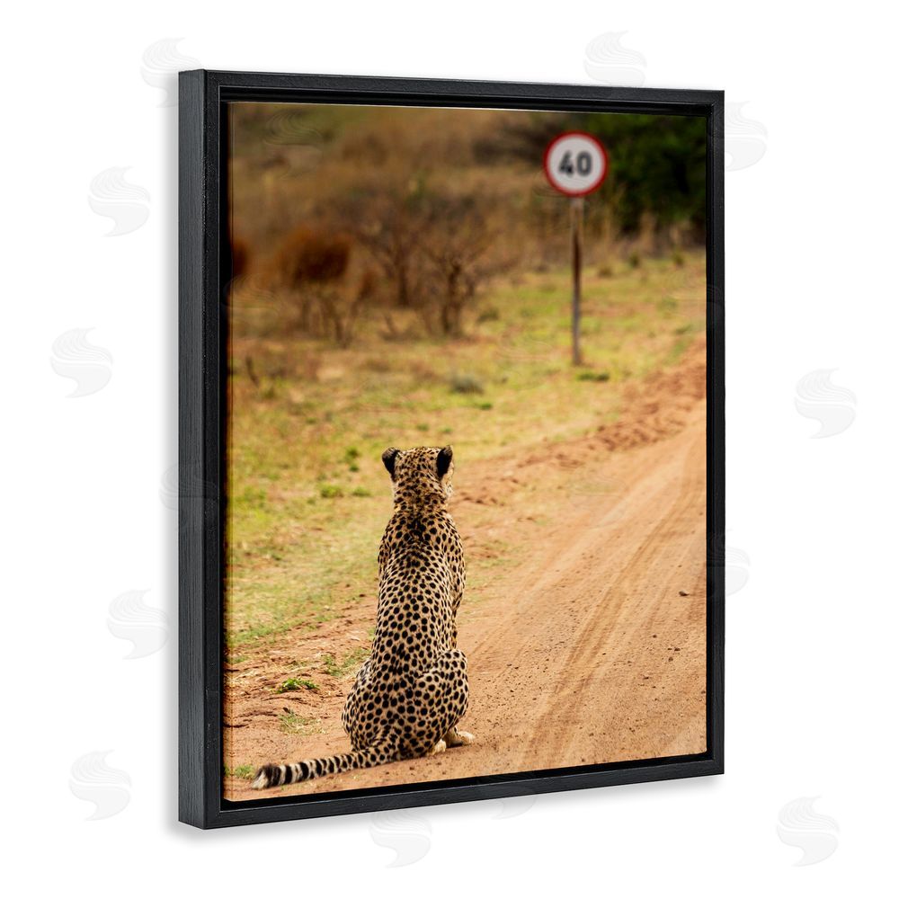 Vaughan Jessnitz Speedy Cheetah on Road Black Floating Frame Canvas Wall Art Print