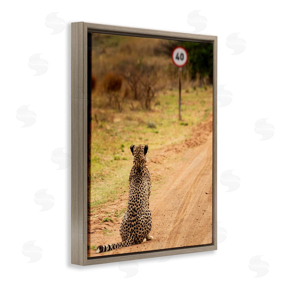 Vaughan Jessnitz Speedy Cheetah on Road Brown Floating Frame Canvas Wall Art Print