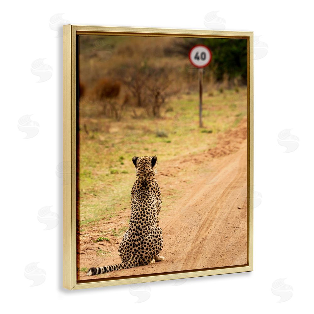 Vaughan Jessnitz Speedy Cheetah on Road Gold Floating Frame Canvas Wall Art Print