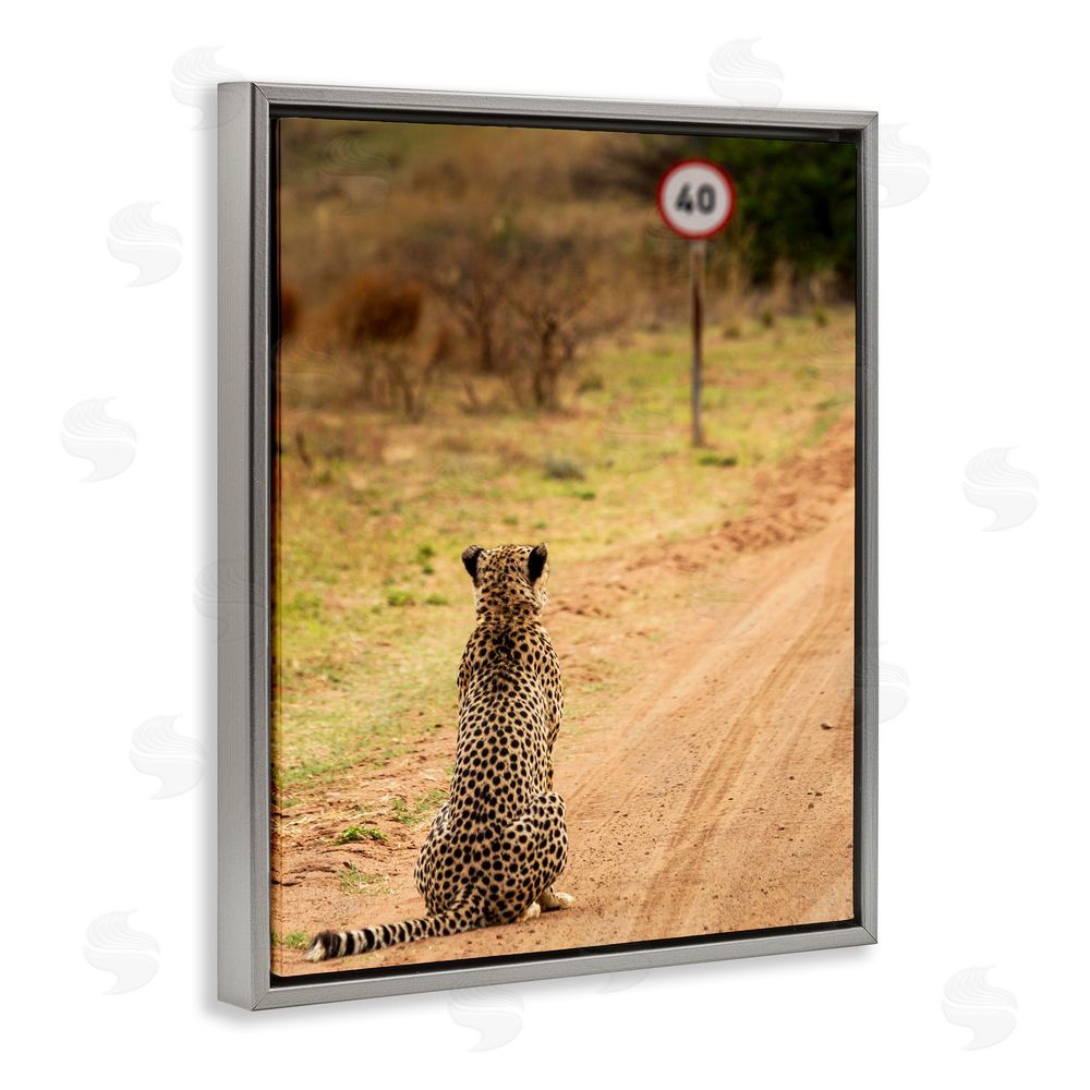 Vaughan Jessnitz Speedy Cheetah on Road Grey Floating Frame Canvas Wall Art Print