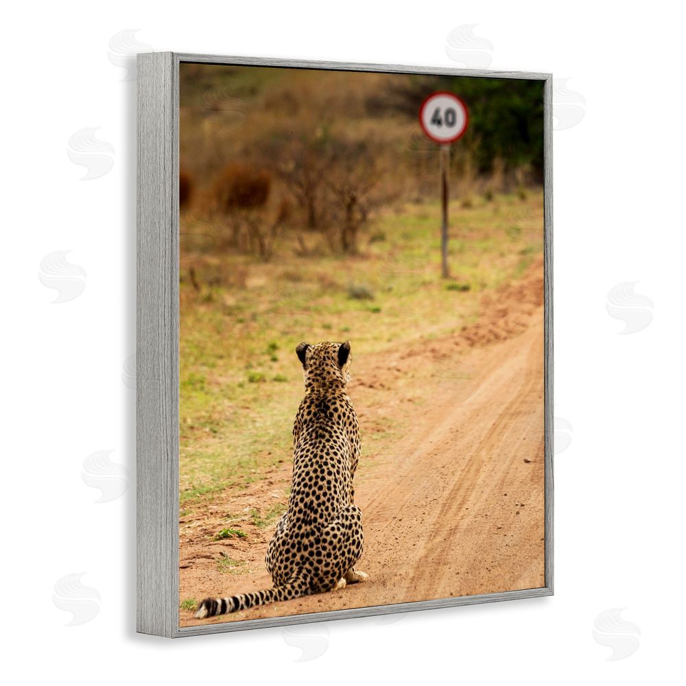 Vaughan Jessnitz Speedy Cheetah on Road Gray Framed Giclee Wall Art Print