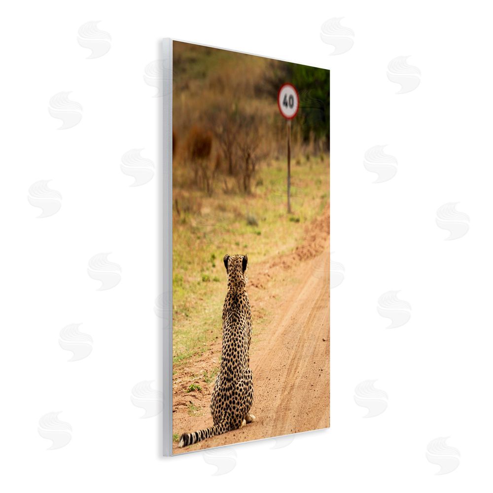 Vaughan Jessnitz Speedy Cheetah on Road Wall Plaque Art Print