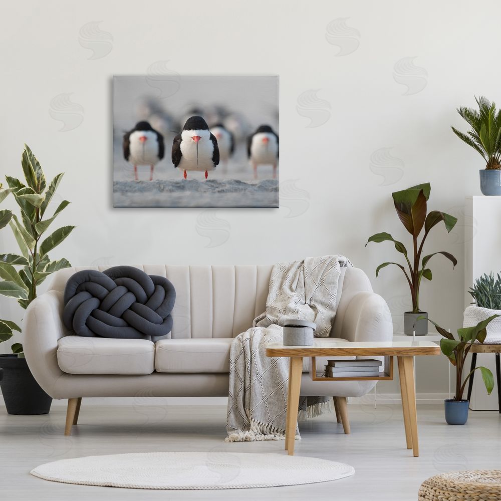 Ke Qiang Ruan Black Skimmer Gang Canvas Wall Art Print in Room
