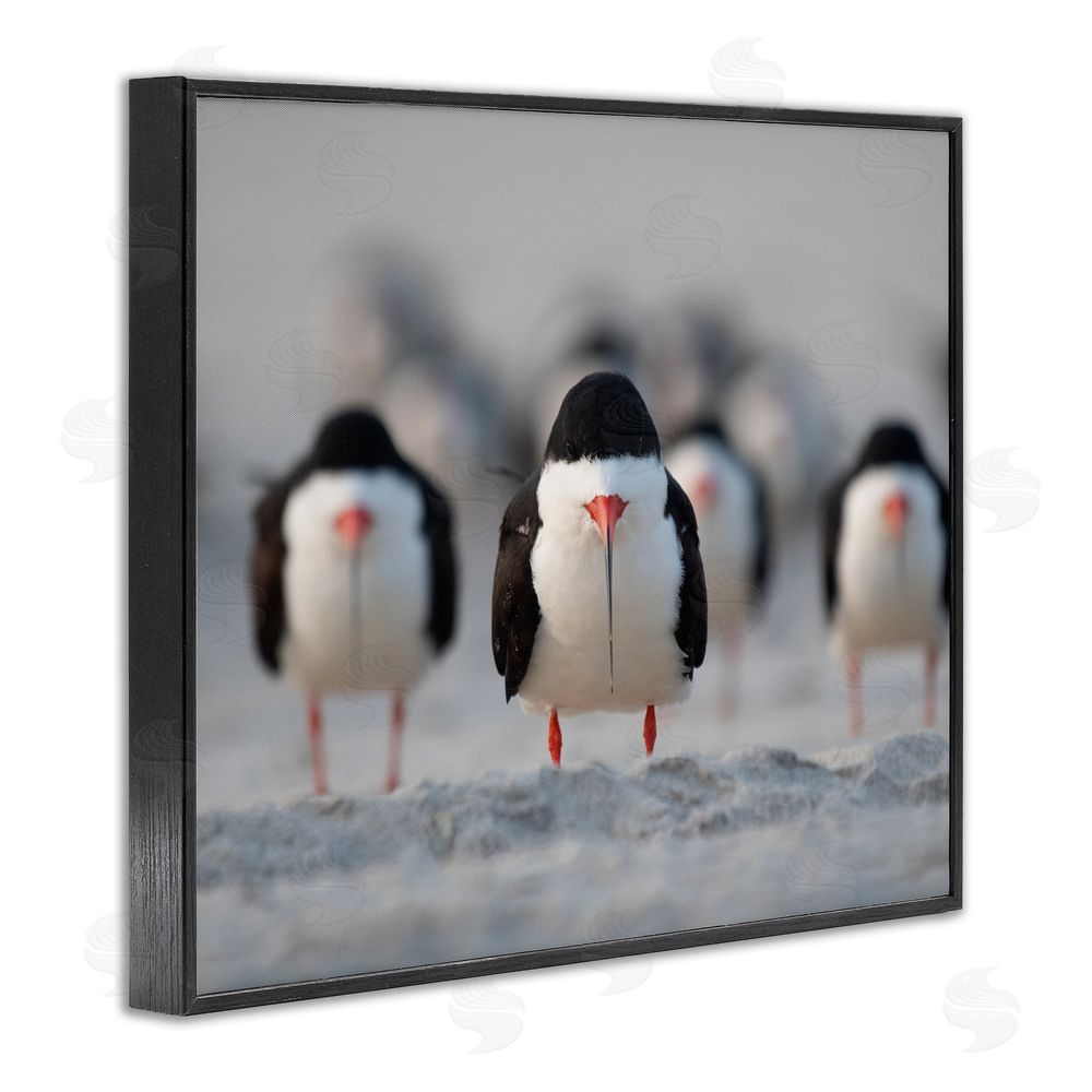 Ke Qiang Ruan Black Skimmer Gang Black Framed Giclee Wall Art Print