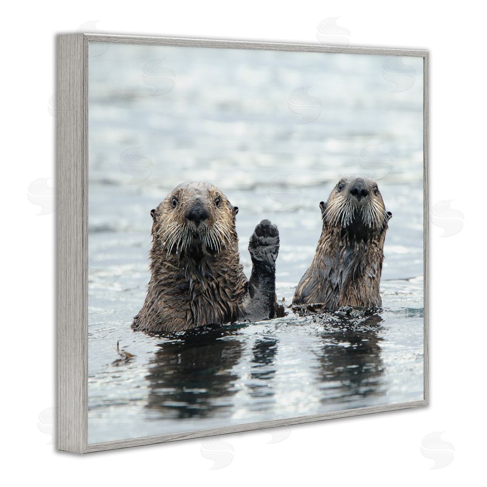 Donna Bourdon Peeking Otters in Water Gray Framed Giclee Wall Art Print