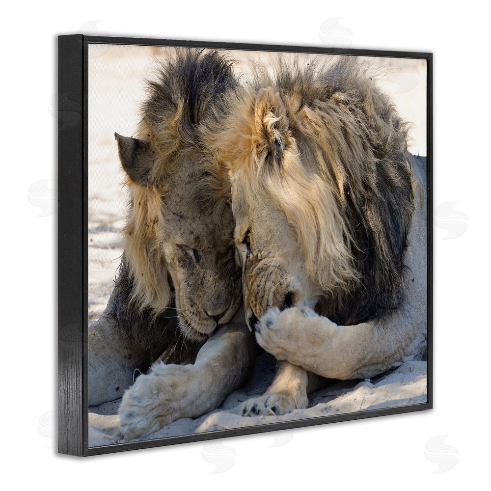 Bernhard Esterer Wildlife Gossip Lions Black Framed Giclee Wall Art Print