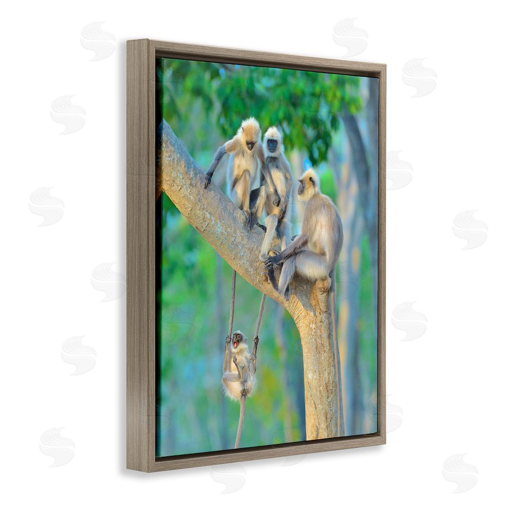 Thomas Vijayan Fun Playing Monkeys Brown Floating Frame Canvas Wall Art Print