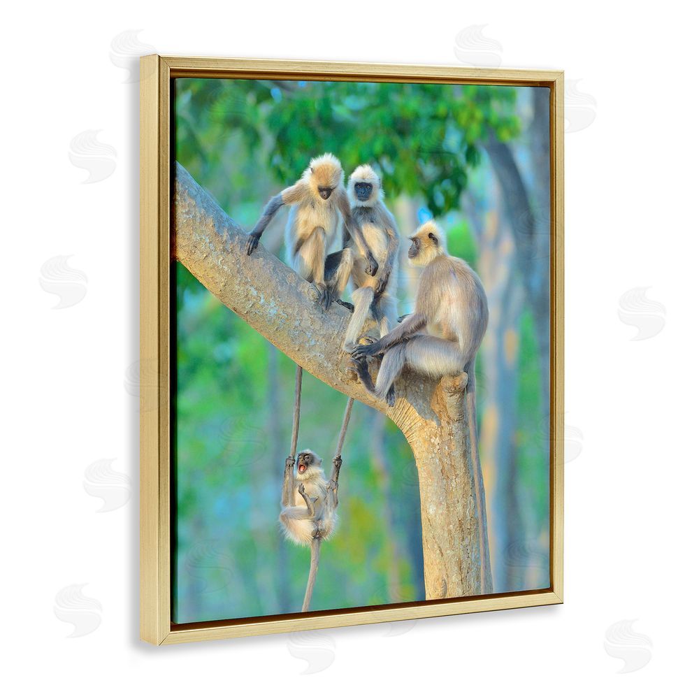 Thomas Vijayan Fun Playing Monkeys Gold Floating Frame Canvas Wall Art Print