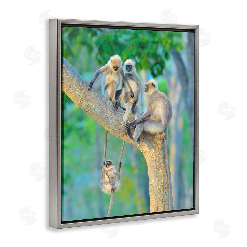 Thomas Vijayan Fun Playing Monkeys Grey Floating Frame Canvas Wall Art Print