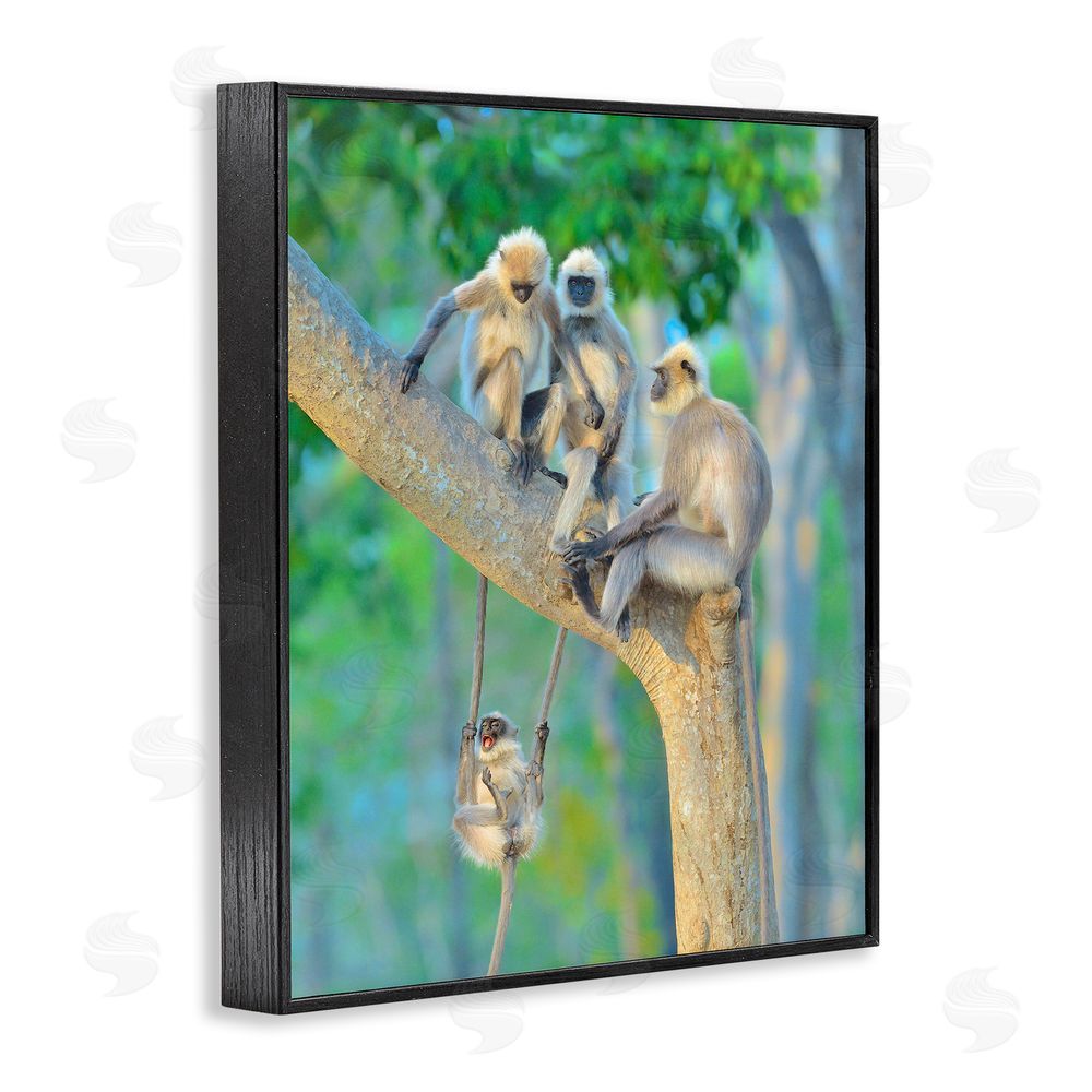 Thomas Vijayan Fun Playing Monkeys Black Framed Giclee Wall Art Print