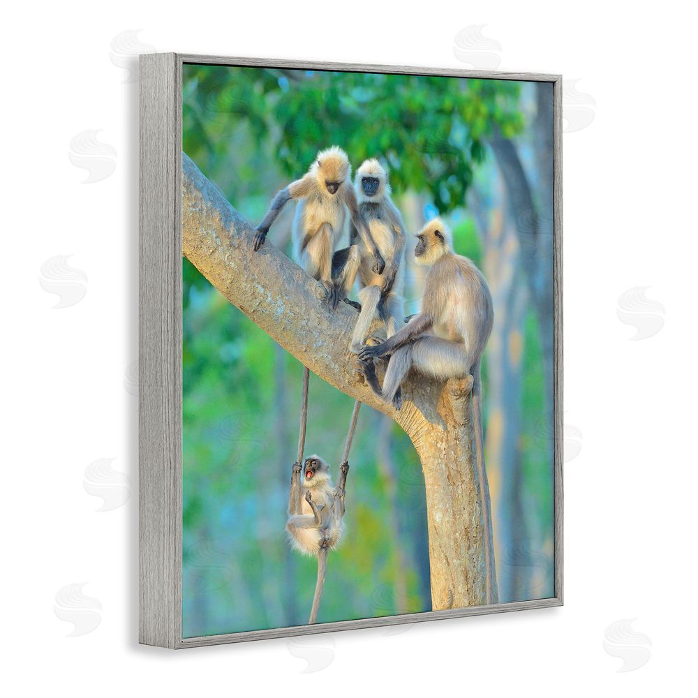 Thomas Vijayan Fun Playing Monkeys Gray Framed Giclee Wall Art Print