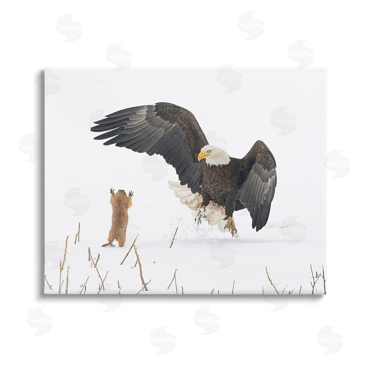 Arthur Trevino Prairie Dog & Eagle Stretched Canvas Wall Art Print
