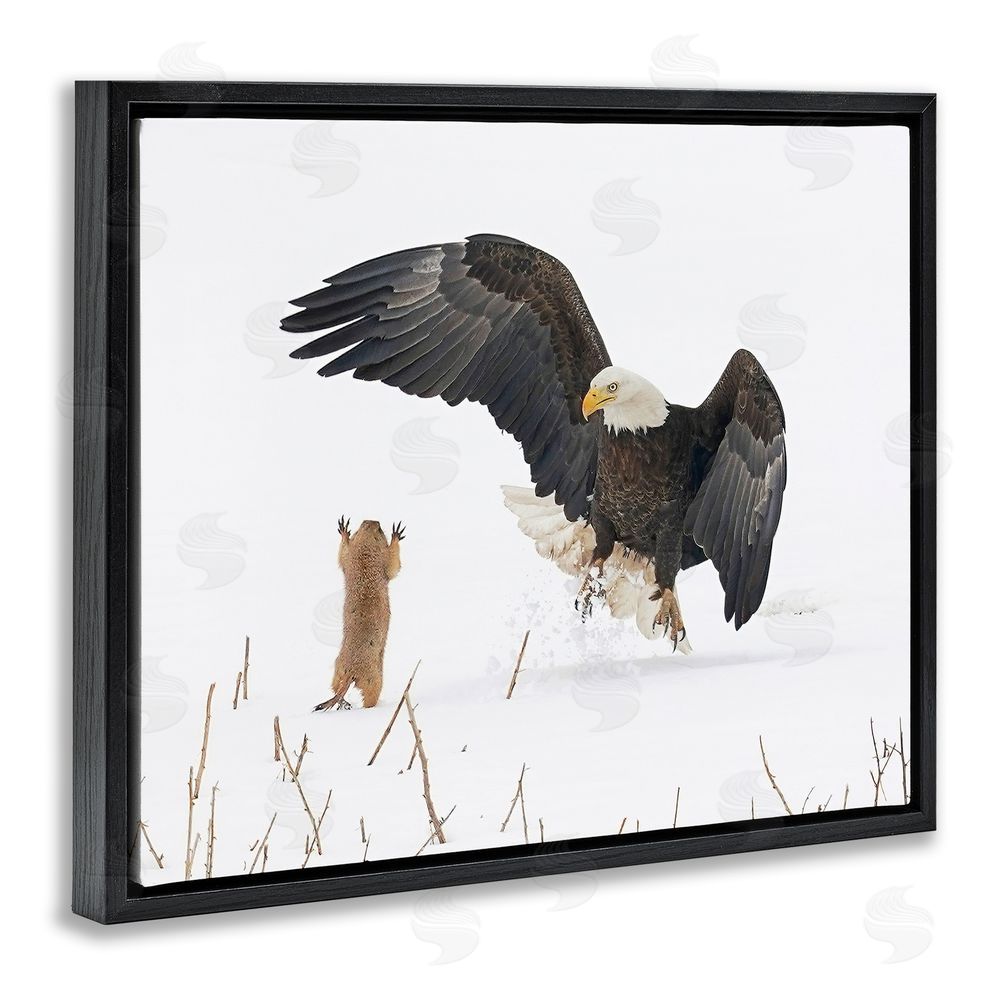 Arthur Trevino Prairie Dog & Eagle Black Floating Frame Canvas Wall Art Print