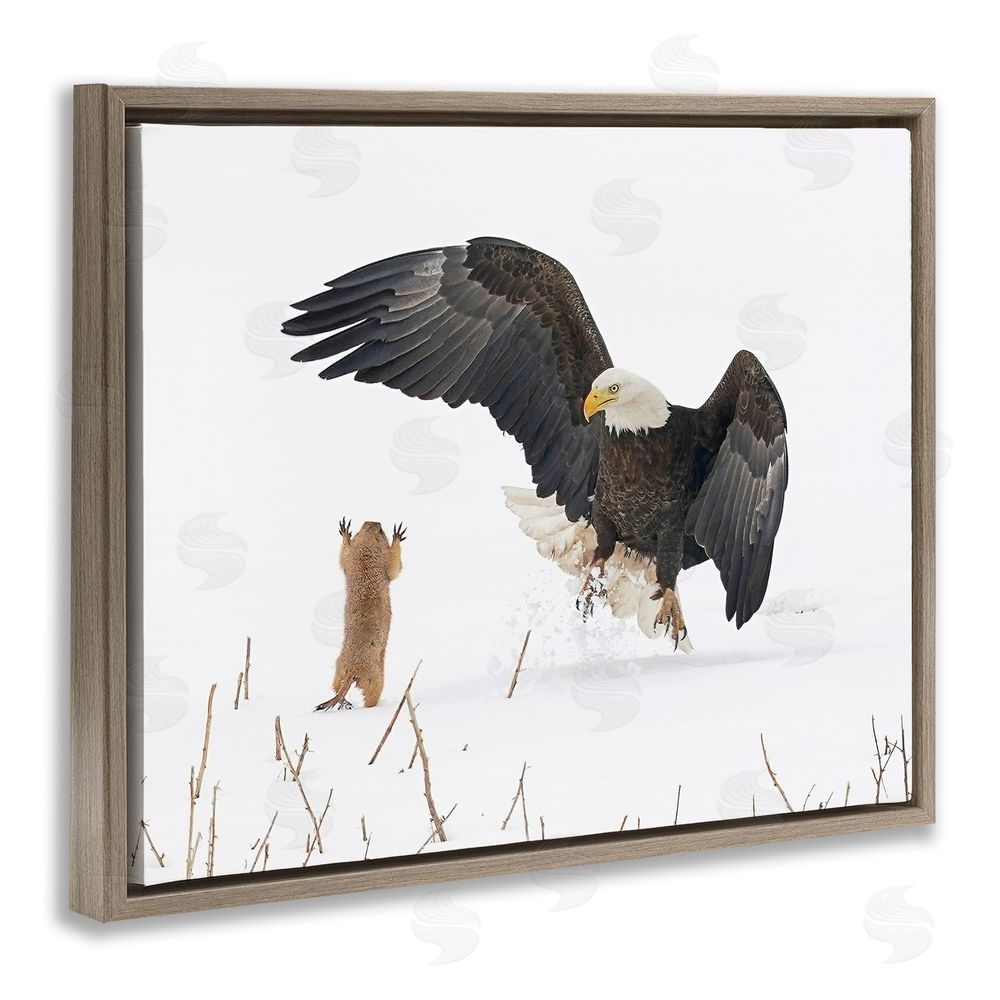 Arthur Trevino Prairie Dog & Eagle Brown Floating Frame Canvas Wall Art Print