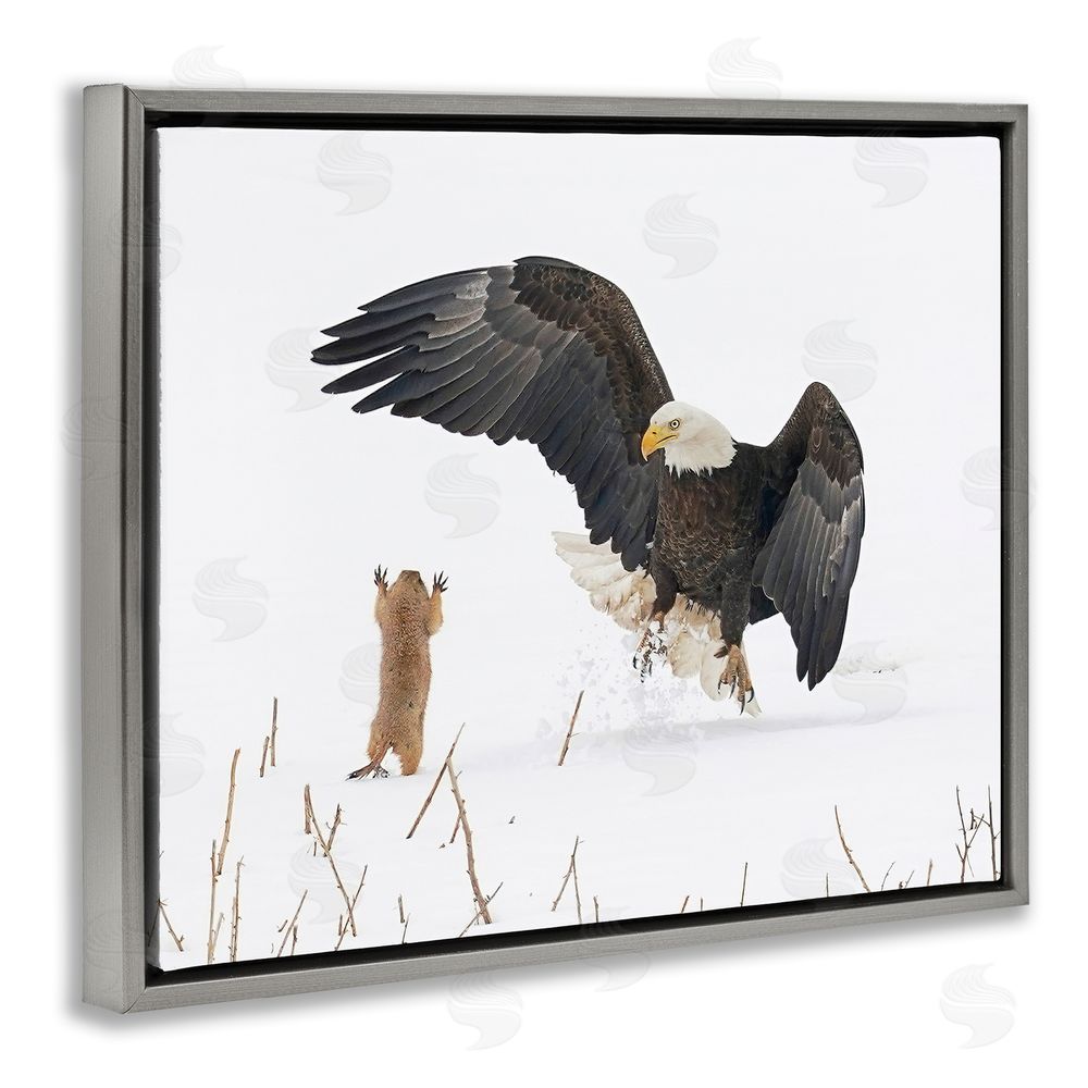 Arthur Trevino Prairie Dog & Eagle Grey Floating Frame Canvas Wall Art Print