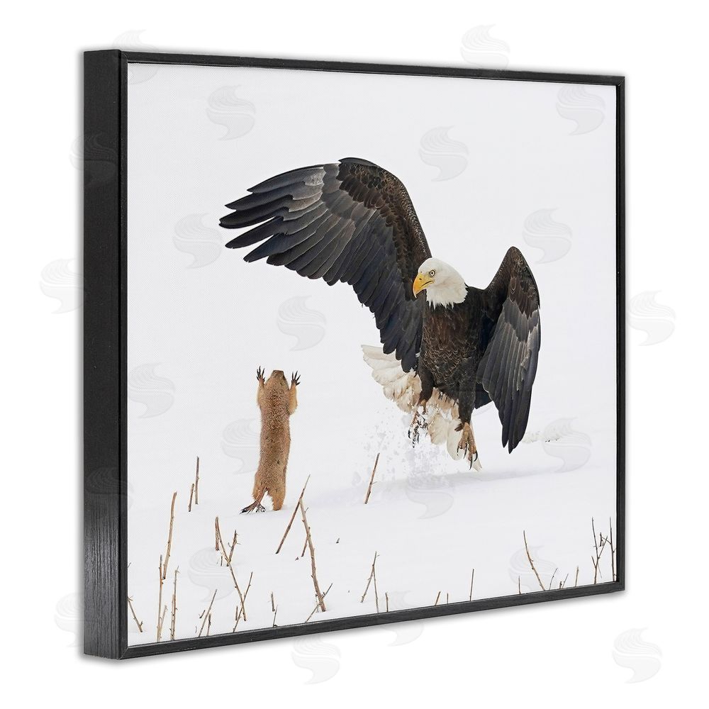 Arthur Trevino Prairie Dog & Eagle Black Framed Giclee Wall Art Print