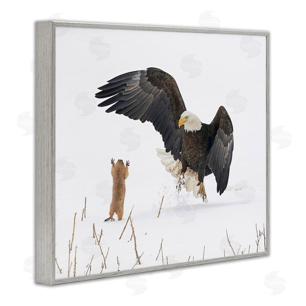 Arthur Trevino Prairie Dog & Eagle Gray Framed Giclee Wall Art Print