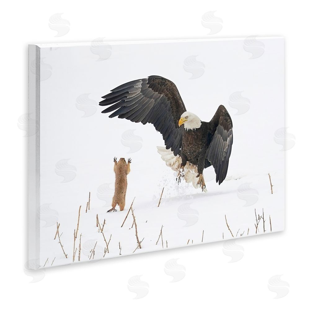 Arthur Trevino Prairie Dog & Eagle Wall Plaque Art Print