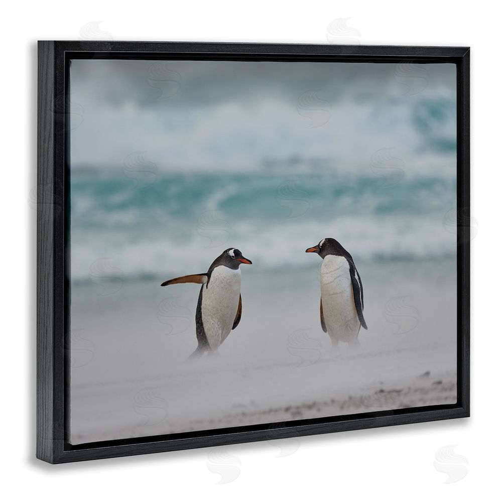 Carol Taylor Penguins on Arctic Beach Black Floating Frame Canvas Wall Art Print