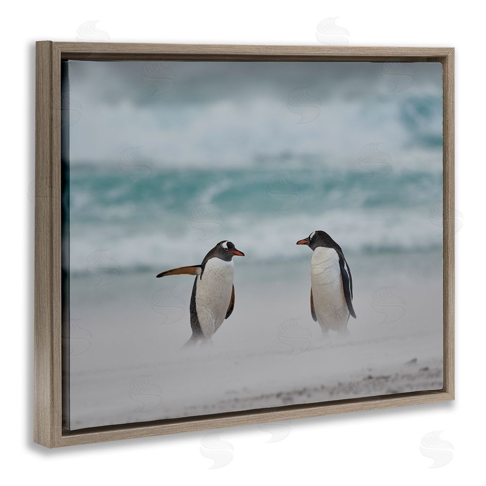 Carol Taylor Penguins on Arctic Beach Brown Floating Frame Canvas Wall Art Print