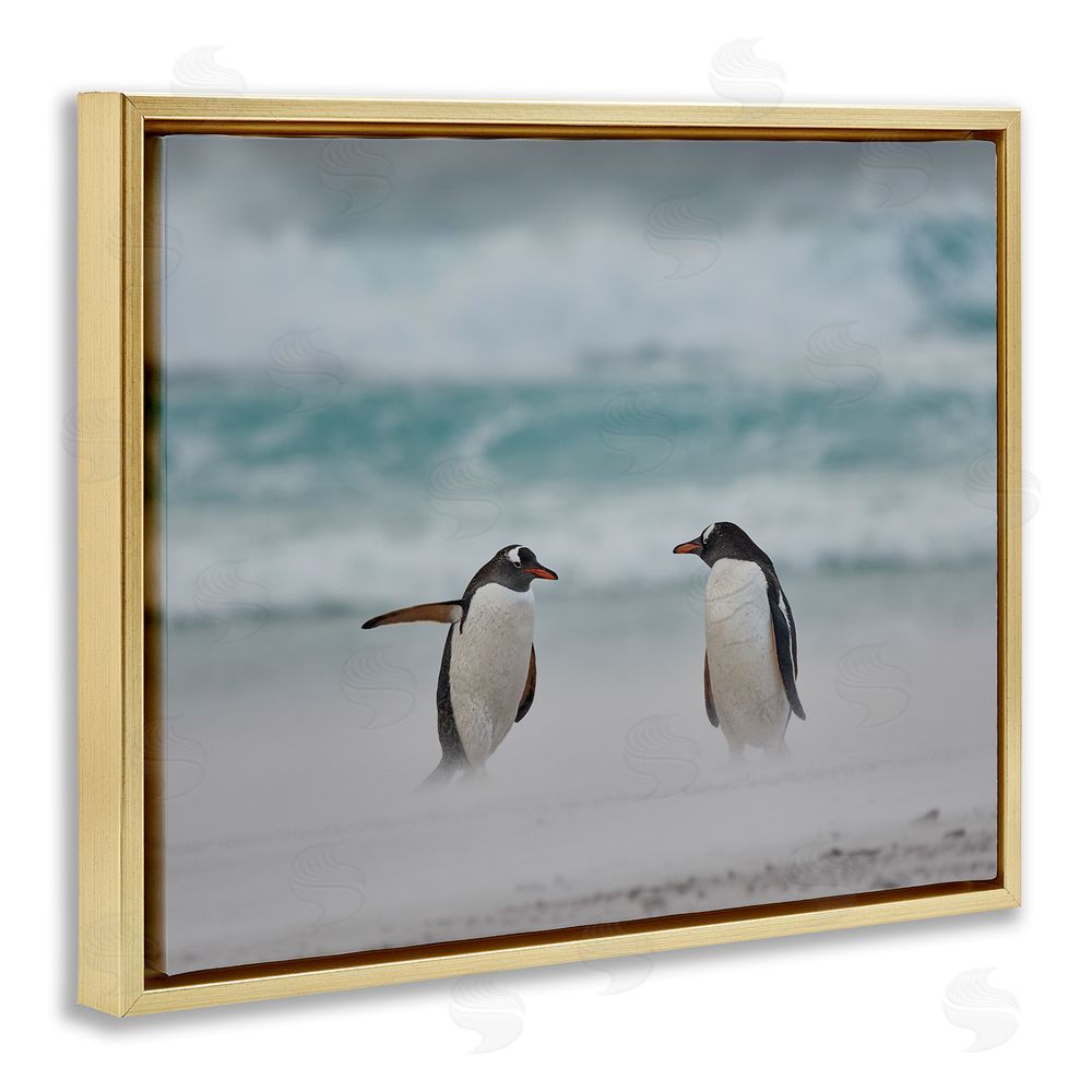 Carol Taylor Penguins on Arctic Beach Gold Floating Frame Canvas Wall Art Print