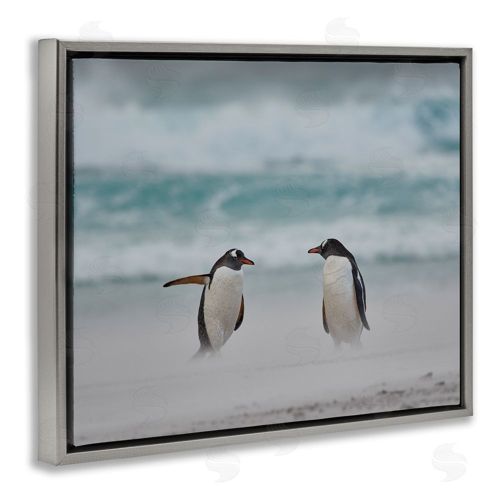 Carol Taylor Penguins on Arctic Beach Grey Floating Frame Canvas Wall Art Print
