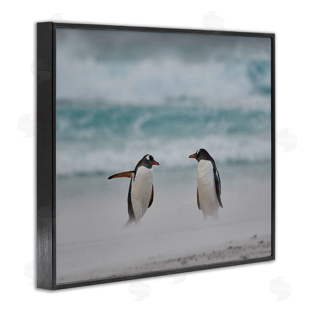 Carol Taylor Penguins on Arctic Beach Black Framed Giclee Wall Art Print