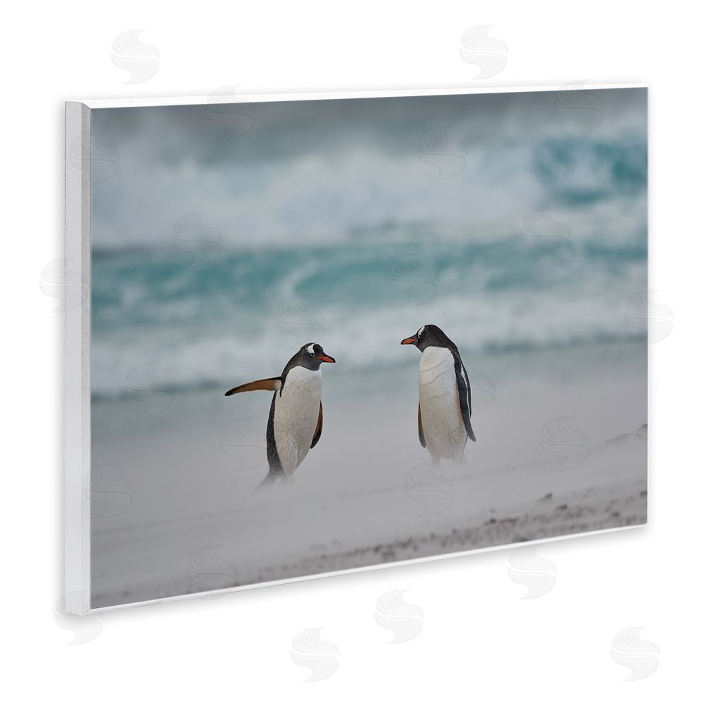 Carol Taylor Penguins on Arctic Beach Wall Plaque Art Print