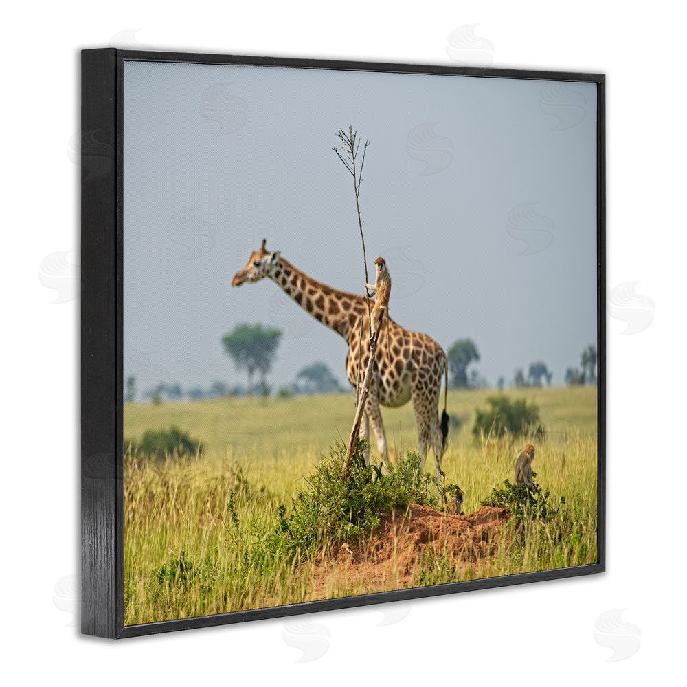 Dirk Jan Steehouwer Monkey Riding Giraffe Black Framed Giclee Wall Art Print