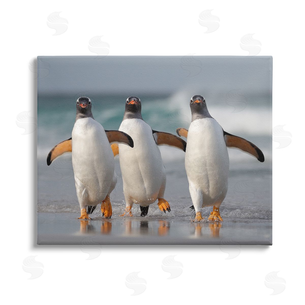 Joshua Galicki Penguin Trio on Beach Stretched Canvas Wall Art Print