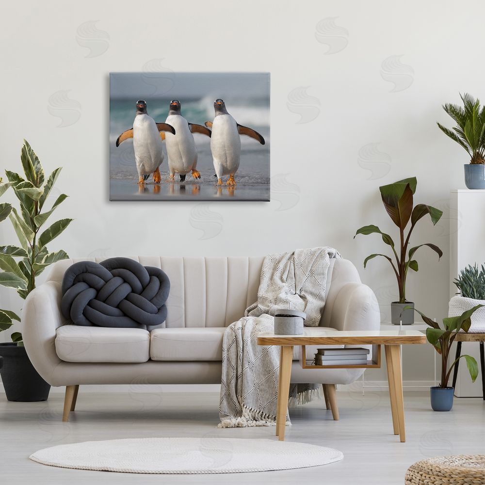 Joshua Galicki Penguin Trio on Beach Canvas Wall Art Print in Room