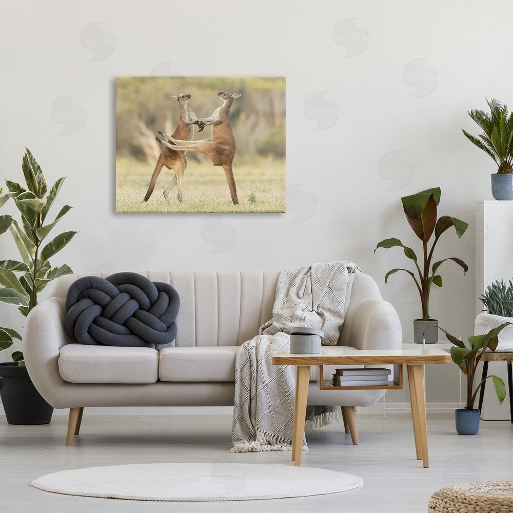 Lea Scaddan Kangaroo Duo Photography Canvas Wall Art Print in Room