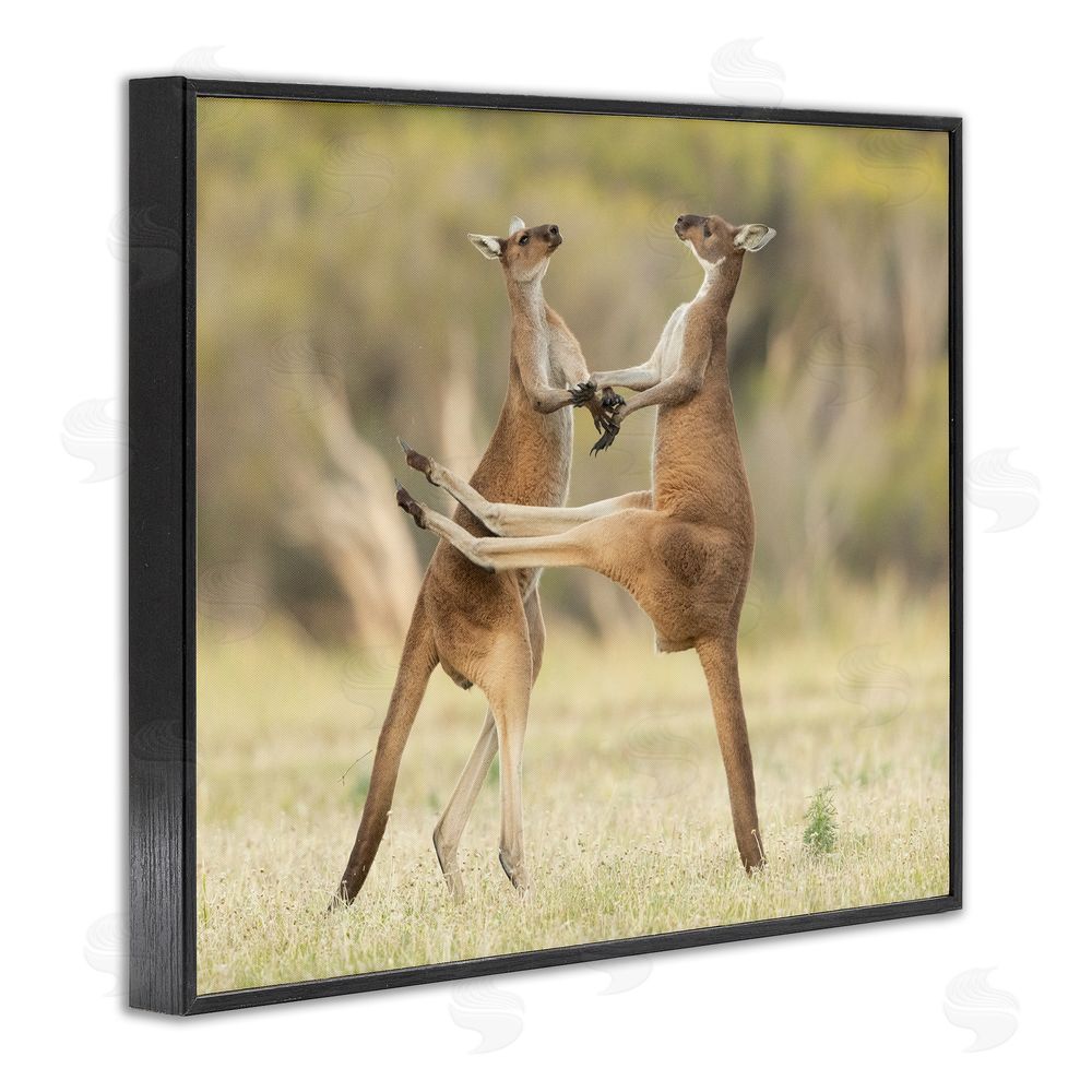 Lea Scaddan Kangaroo Duo Photography Black Framed Giclee Wall Art Print