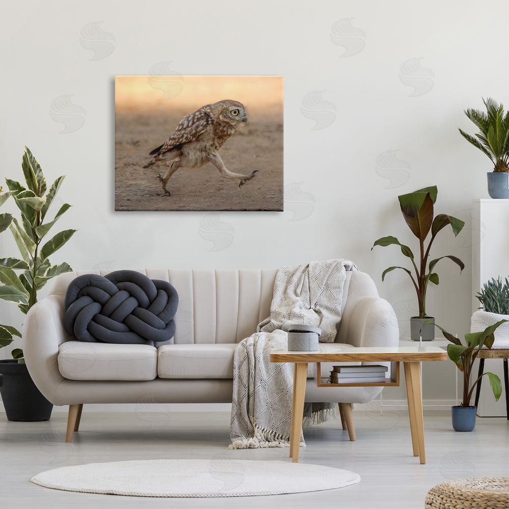 Shuli Greenstein Rushing Little Owl Canvas Wall Art Print in Room