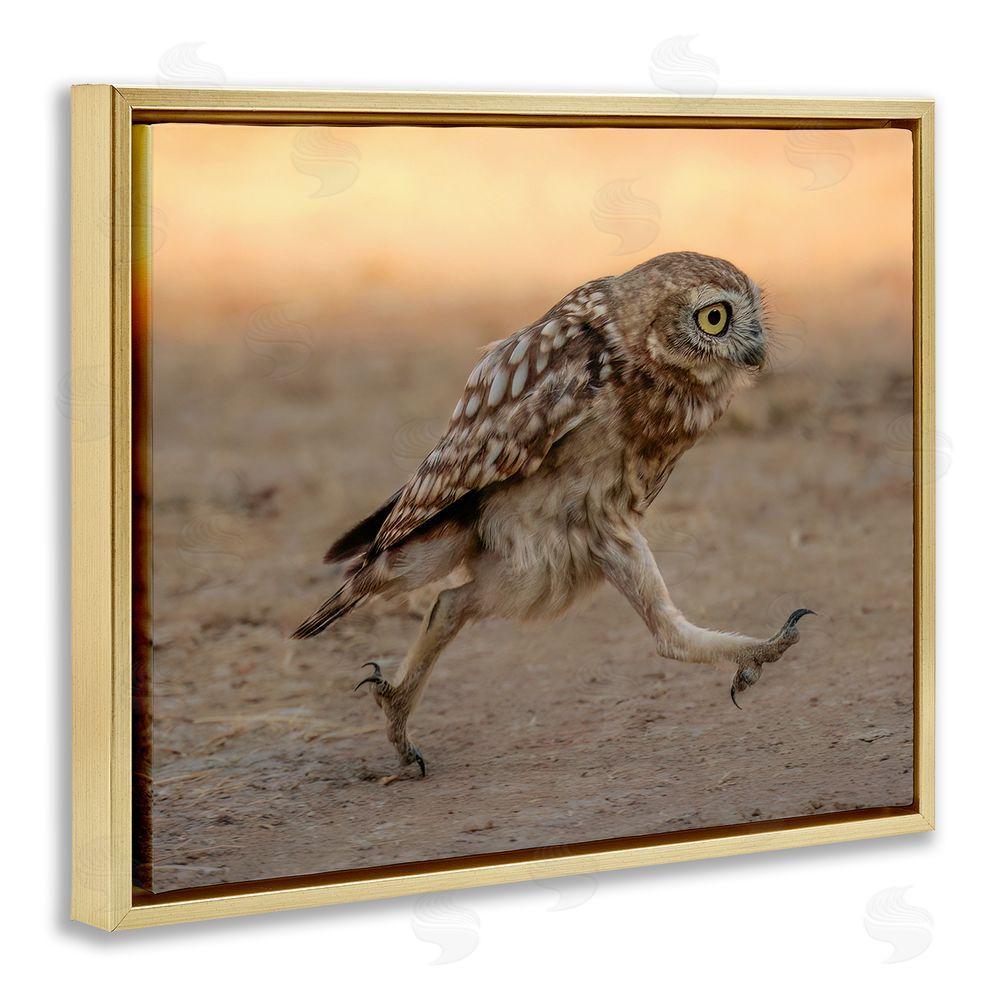 Shuli Greenstein Rushing Little Owl Gold Floating Frame Canvas Wall Art Print