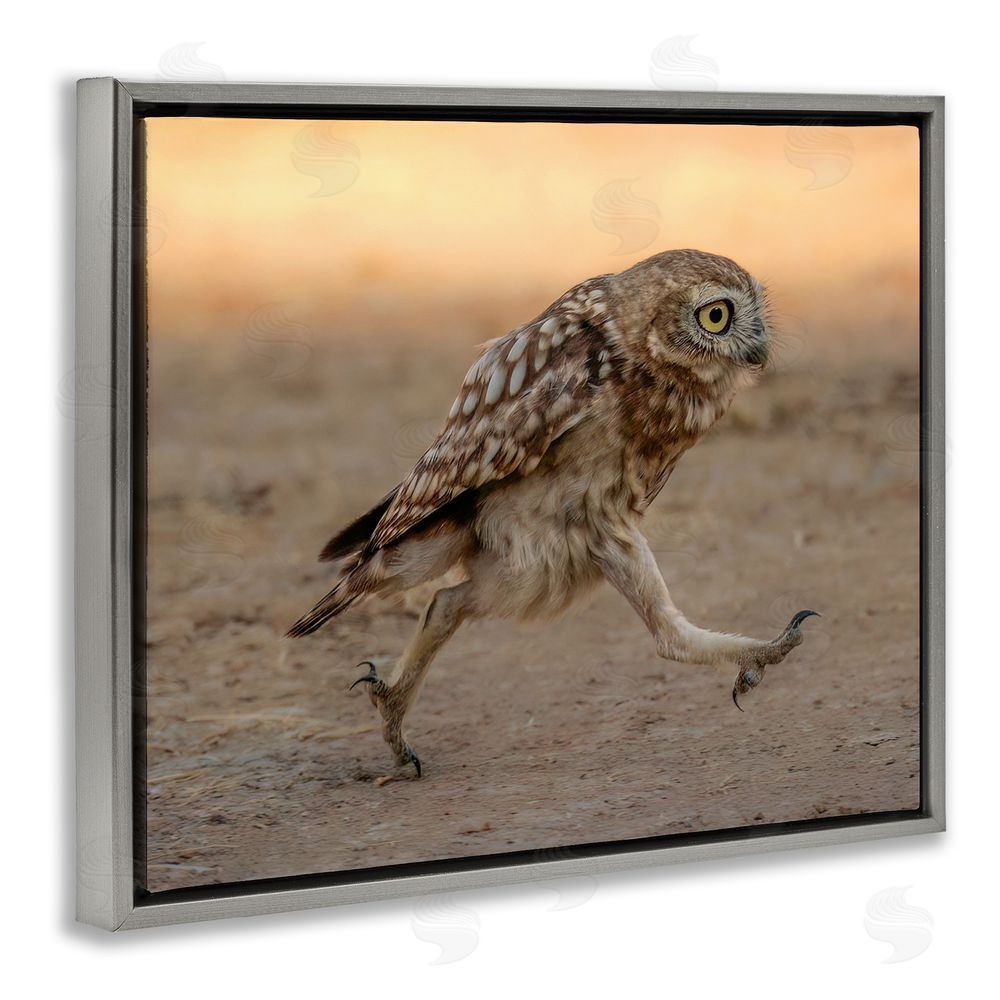 Shuli Greenstein Rushing Little Owl Grey Floating Frame Canvas Wall Art Print