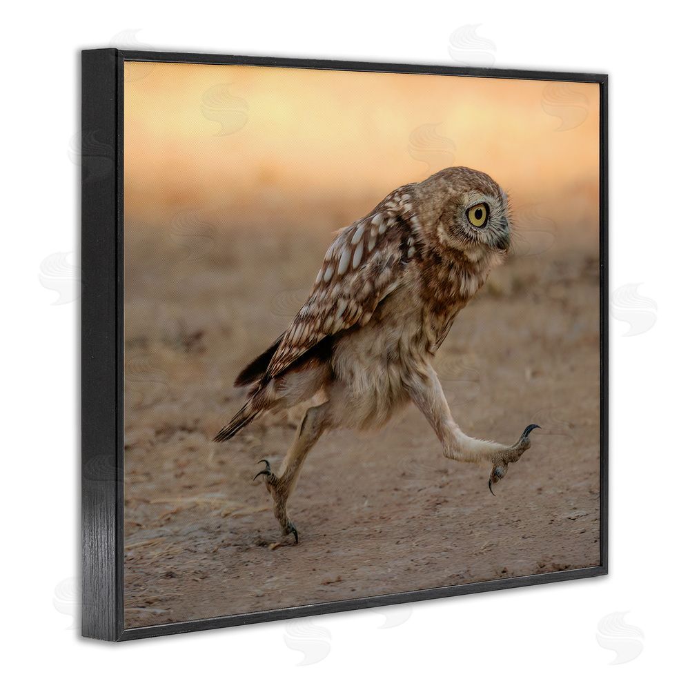 Shuli Greenstein Rushing Little Owl Black Framed Giclee Wall Art Print