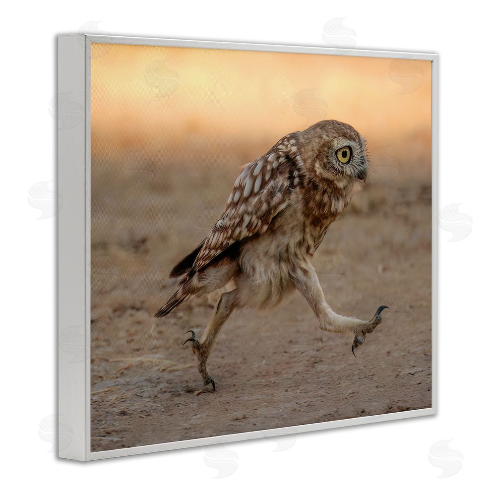 Shuli Greenstein Rushing Little Owl White Framed Giclee Wall Art Print