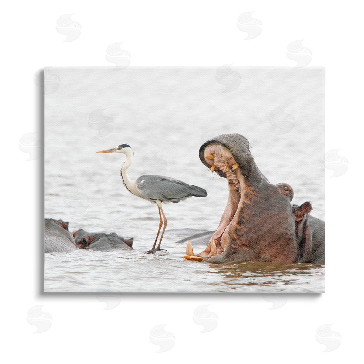 Jean Jacques Alcalay Hippo & Heron Photography Stretched Canvas Wall Art Print