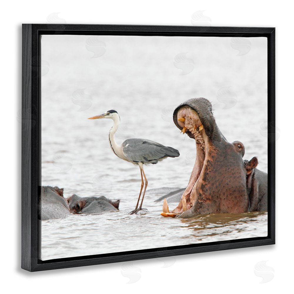 Jean Jacques Alcalay Hippo & Heron Photography Black Floating Frame Canvas Wall Art Print