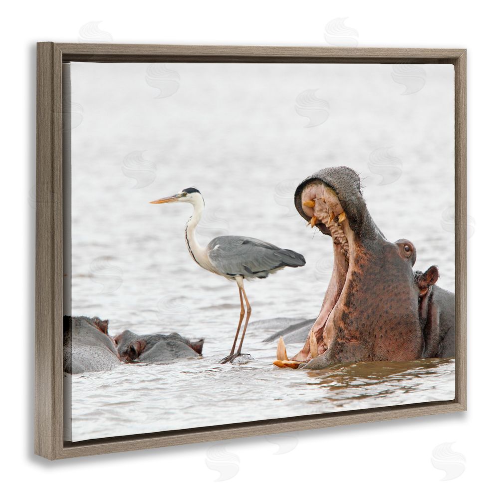 Jean Jacques Alcalay Hippo & Heron Photography Brown Floating Frame Canvas Wall Art Print